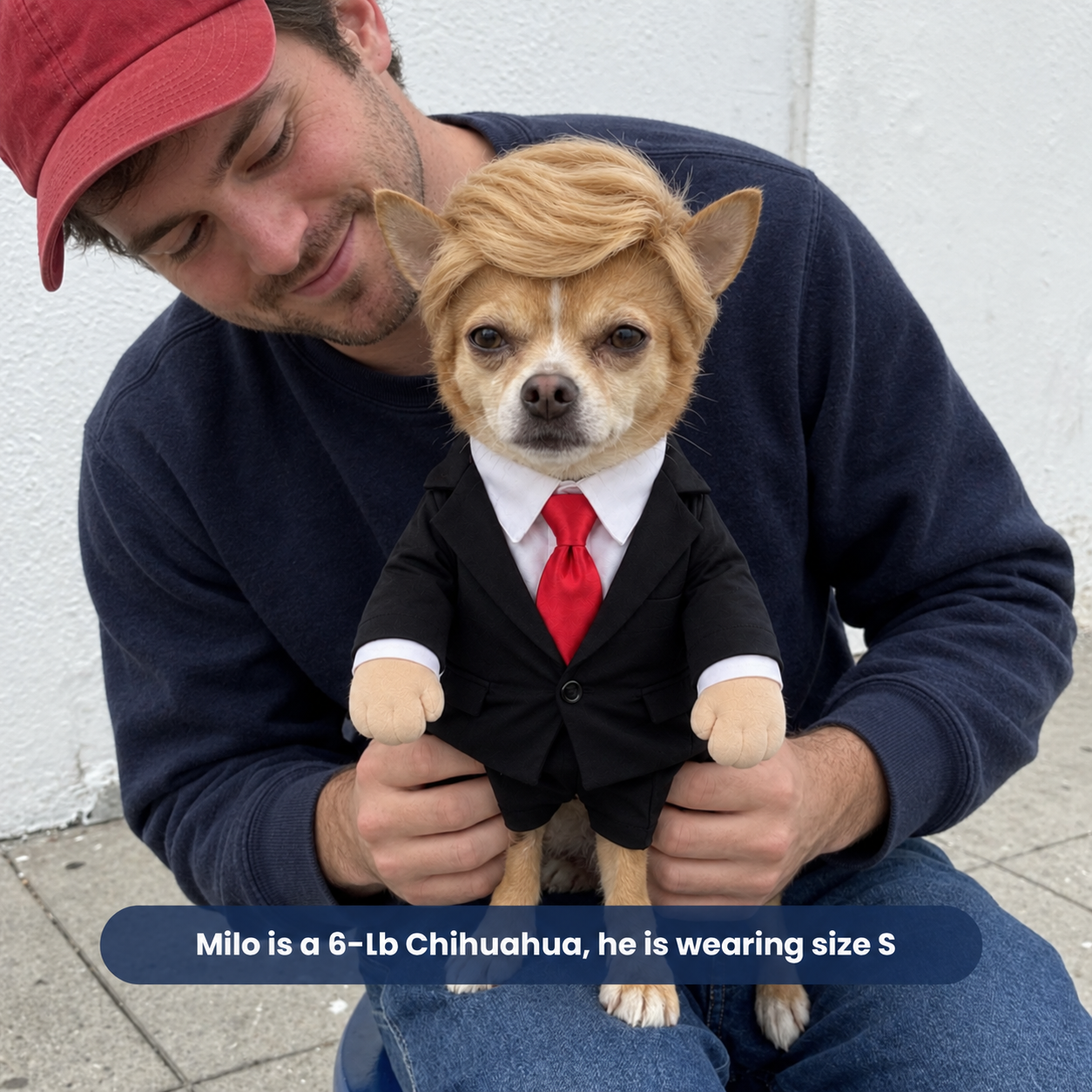 Presidential Pet Outfit